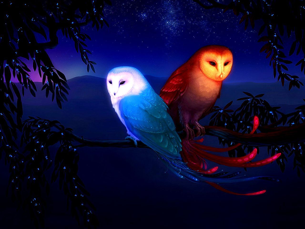 545 Owl HD Wallpapers | Backgrounds - Wallpaper Abyss