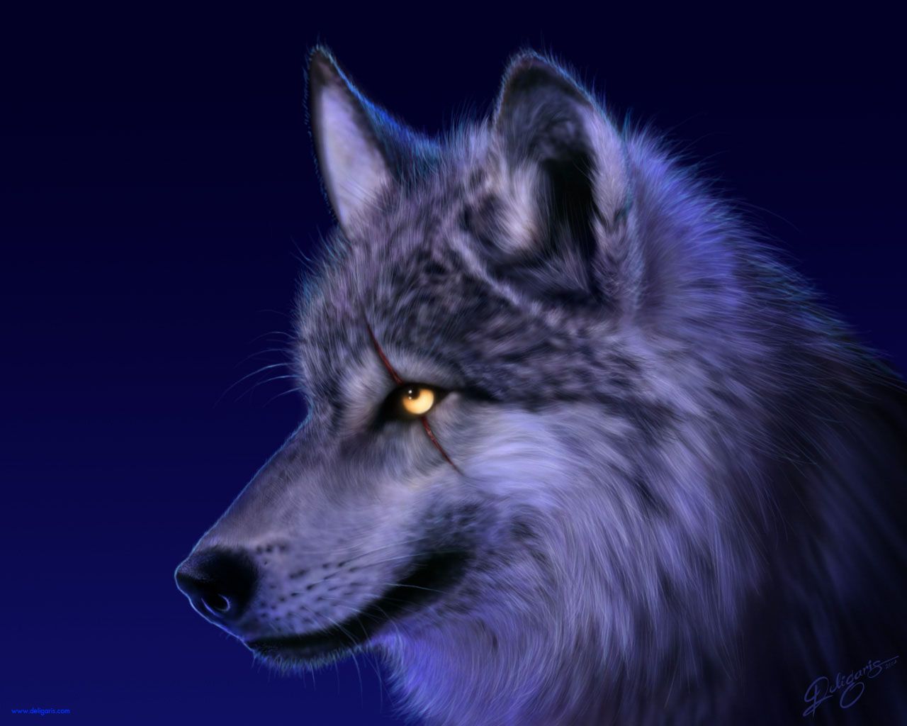 811 Wolf HD Wallpapers | Backgrounds - Wallpaper Abyss