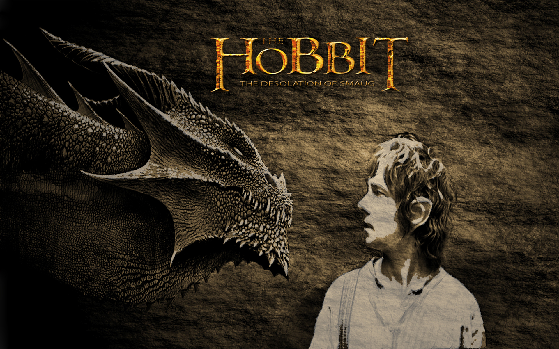 The Hobbit Desolation Of Smaug HD Wallpaper For Your PC Desktop
