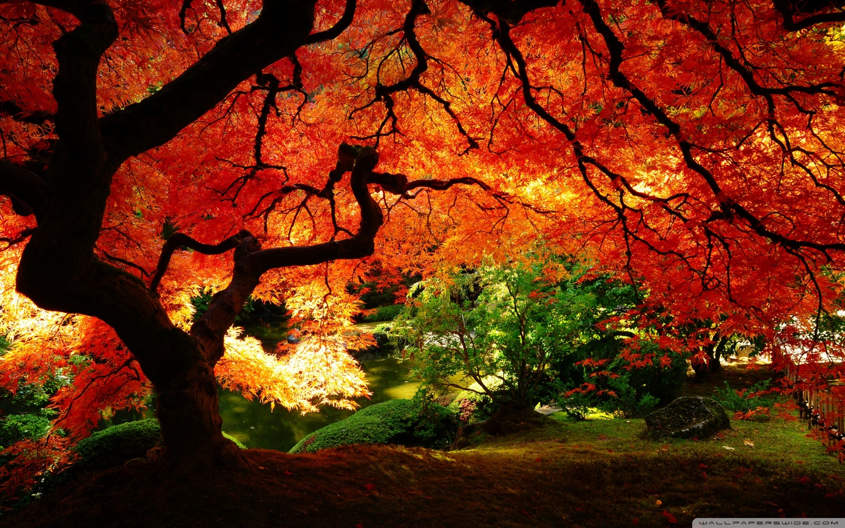 Beautiful Autumn HD desktop wallpaper : Mobile : Dual Monitor