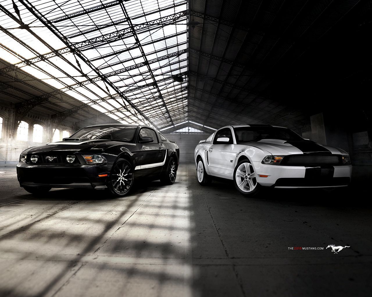 Ford Mustang Shelby Gt500 Wallpaper | 1280x800 | ID:28554