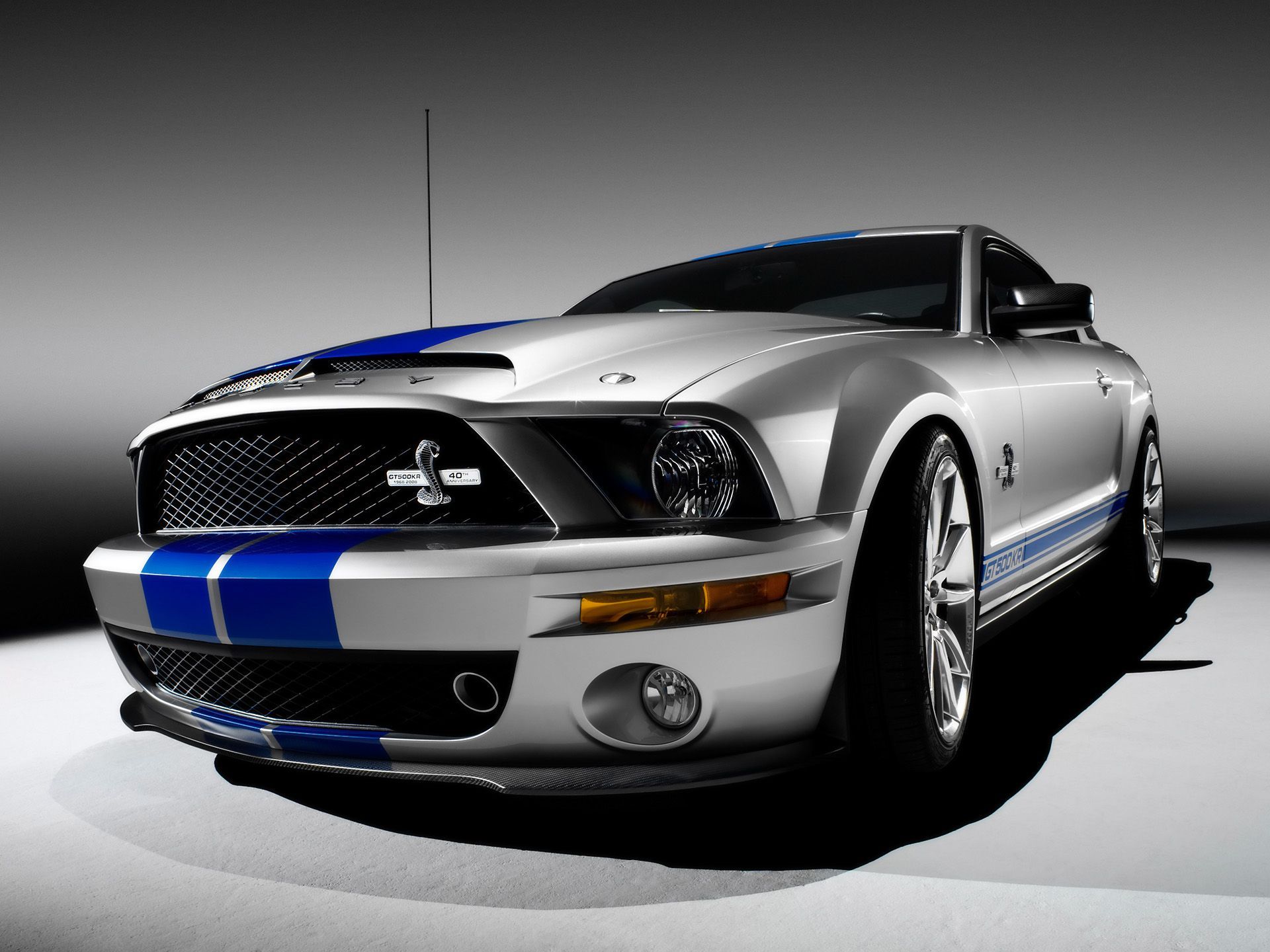 Ford mustang ford mustang gt ford mustang shelby gt500 ford shelby ...