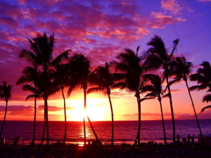 Hawaiian Sunset — Recipes Hubs