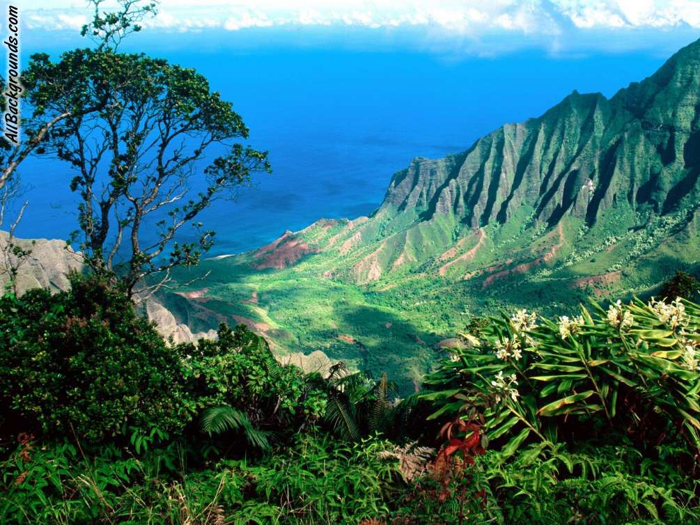 Top Hawaii Backgrounds For Twitter Images for Pinterest