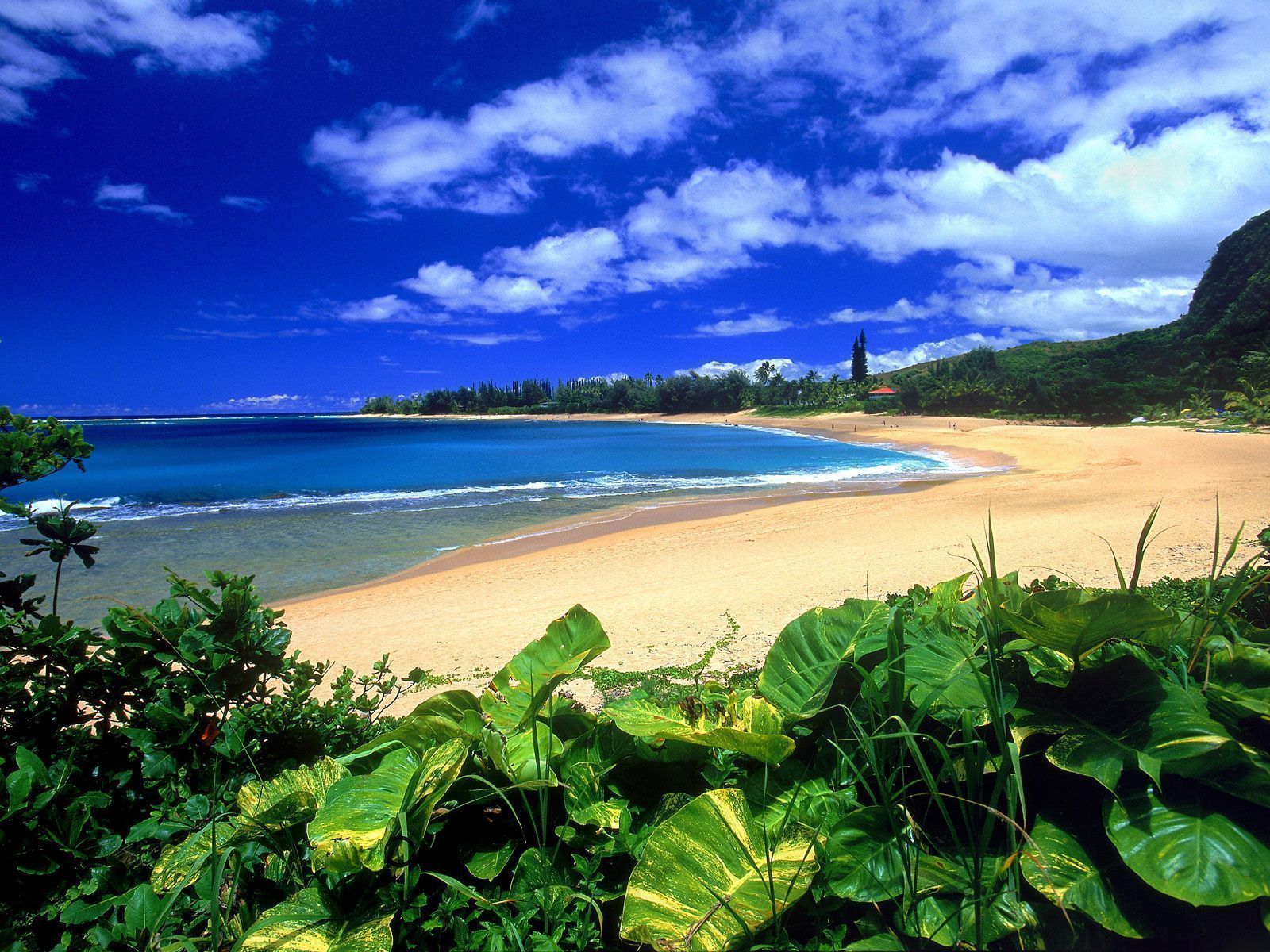 hawaii wallpaper desktop - Bing images
