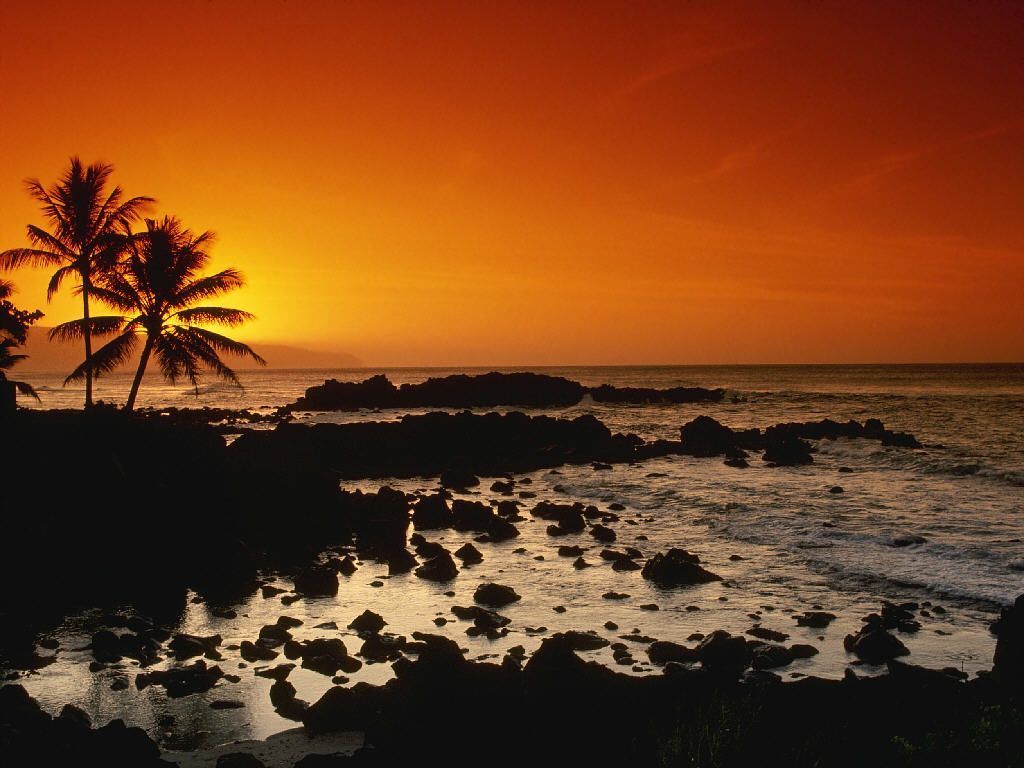 Desktop Wallpaper · Gallery · Travels · Shore Oahu Hawaii | Free ...