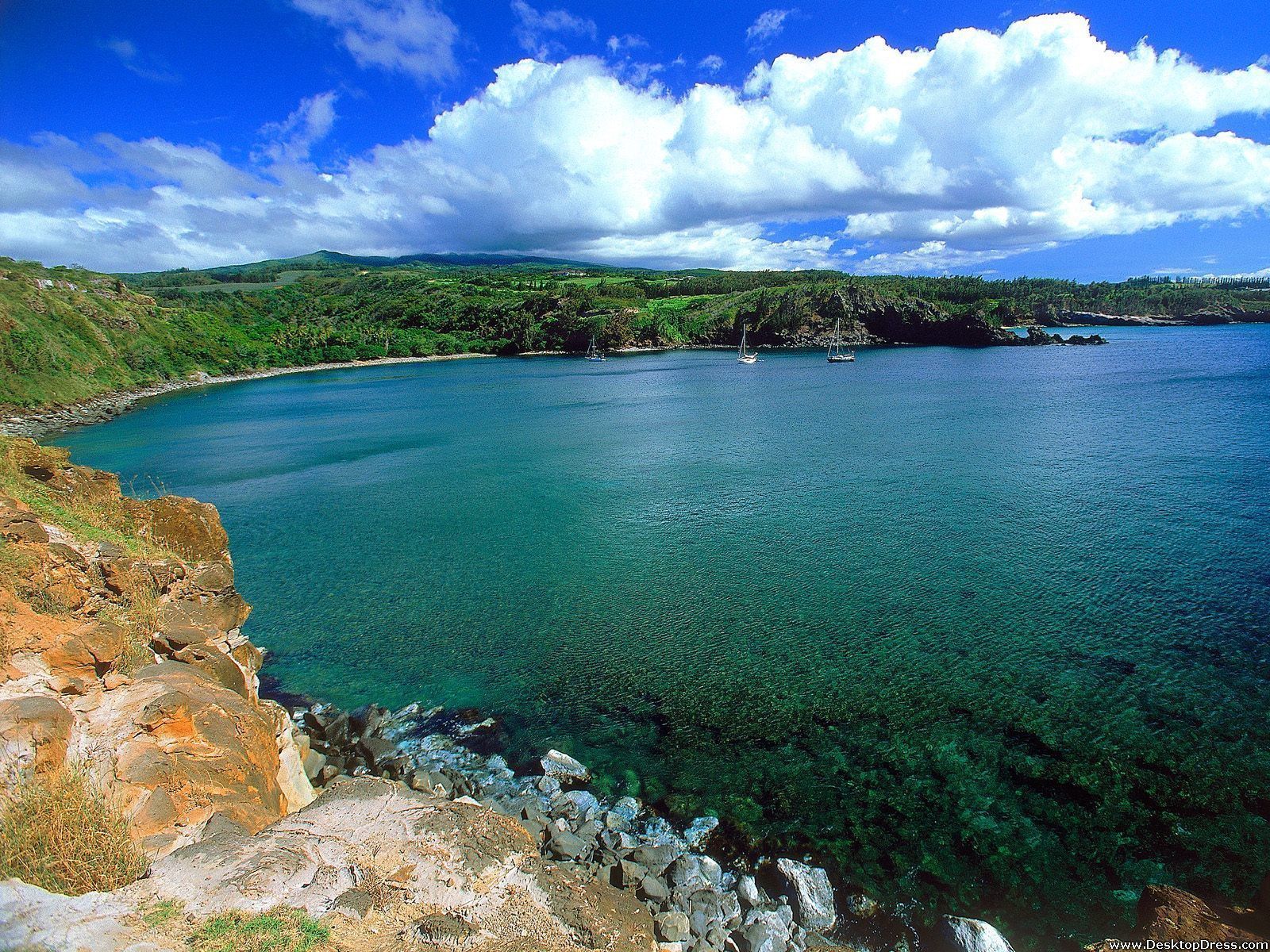 Desktop Wallpapers » Natural Backgrounds » Honolua Bay, Maui ...