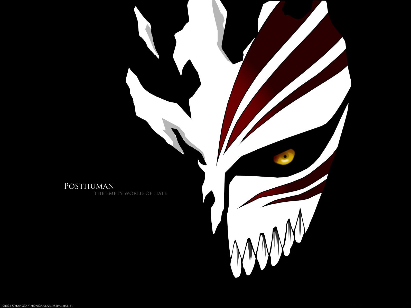 hollow mask - Bleach Anime Wallpaper (7344290) - Fanpop