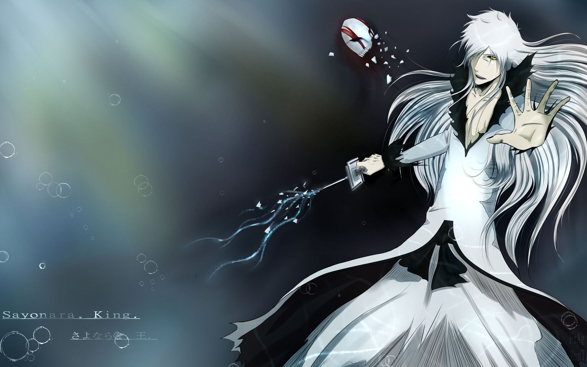 Search results for Bleach Ichigo Hollow HD Wallpapers