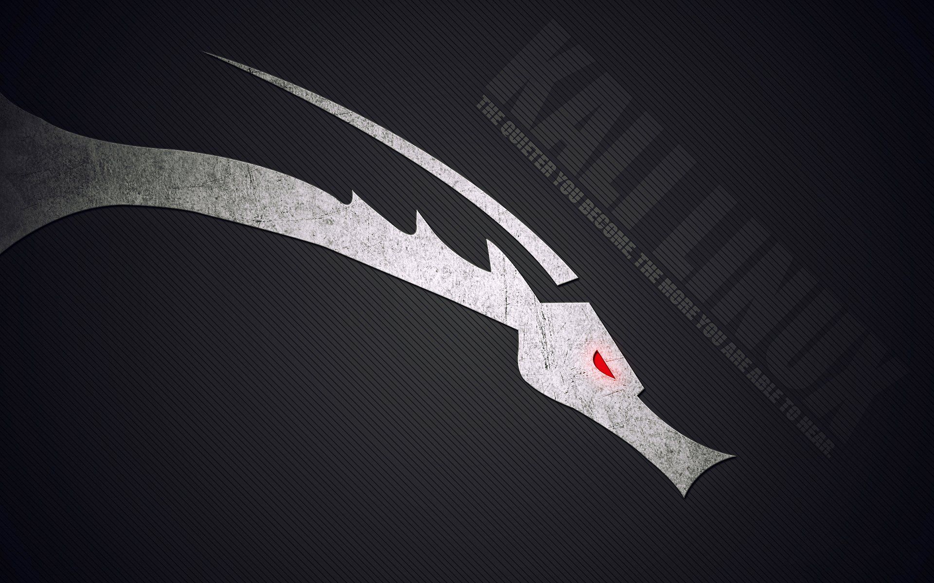 Kali Linux Wallpapers – The Linux Terminal – Linux tutorials ...