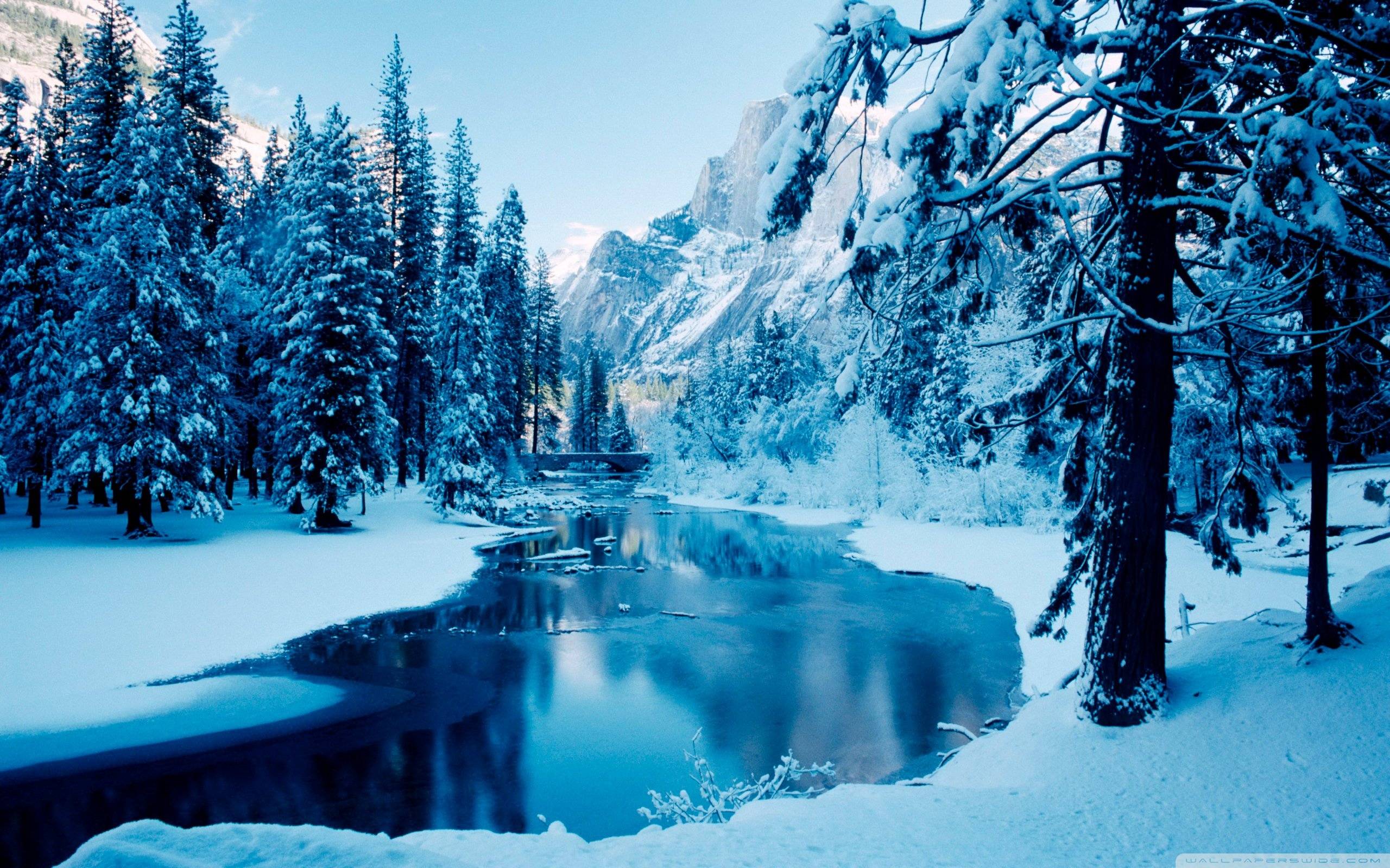 Winter Landscape Wallpaper Full HD | Wallpapers, Backgrounds ...
