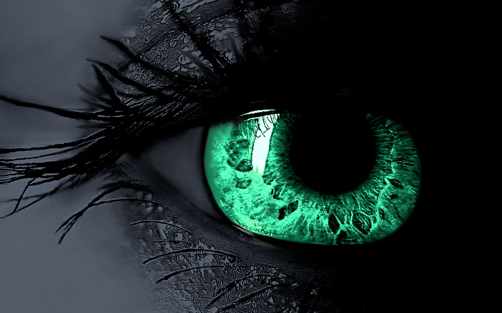 Awesome Green Eyes HD Wallpapers