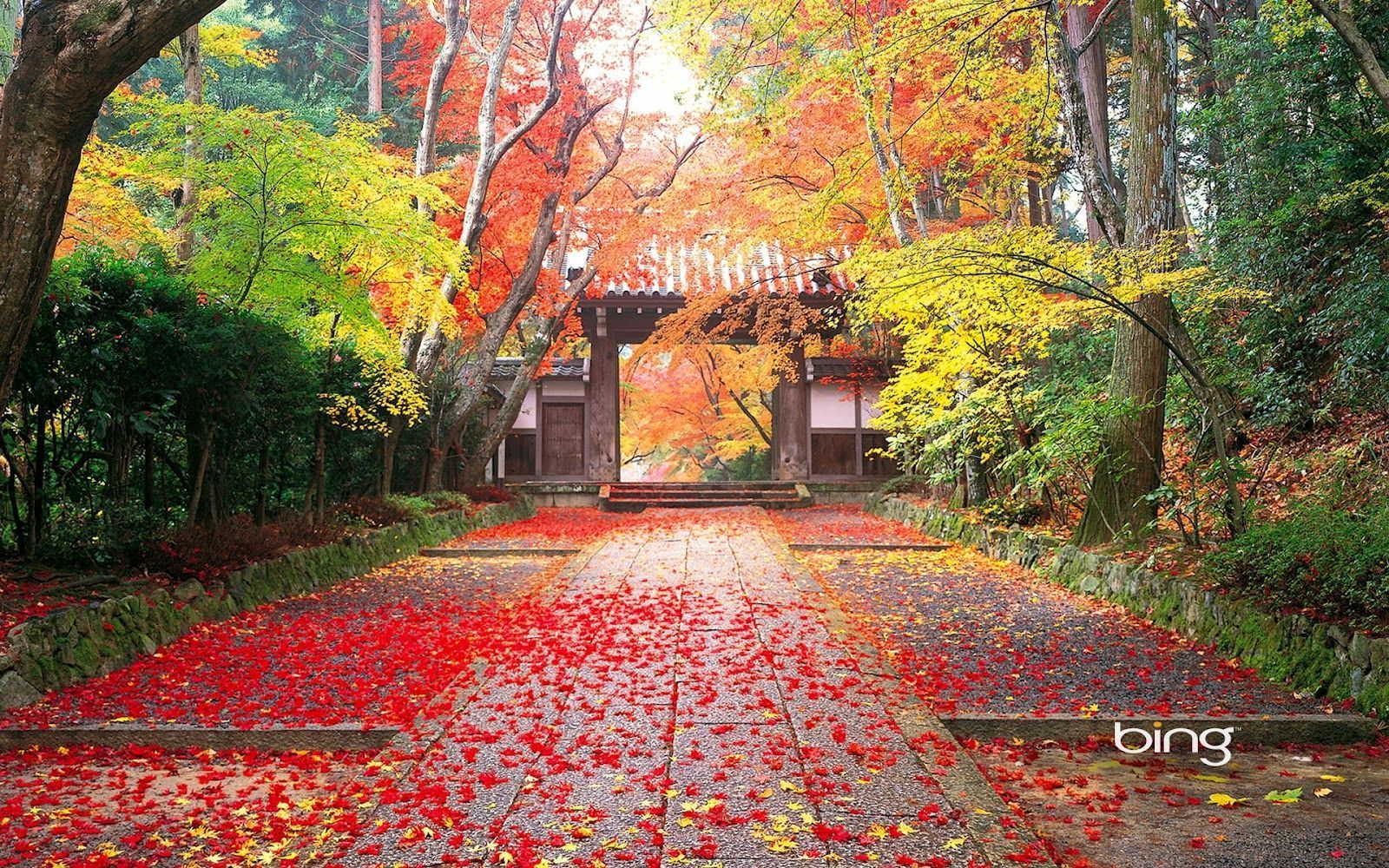 autumn in japan full hd background wallpaper for laptop widescreen ...