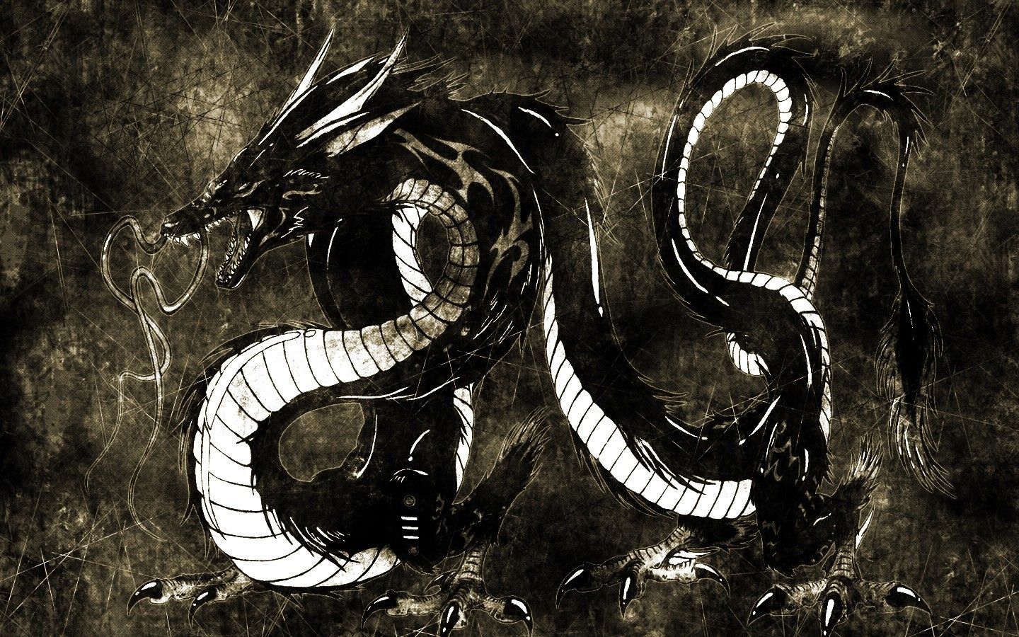 Black Dragons Wallpapers Full Size |