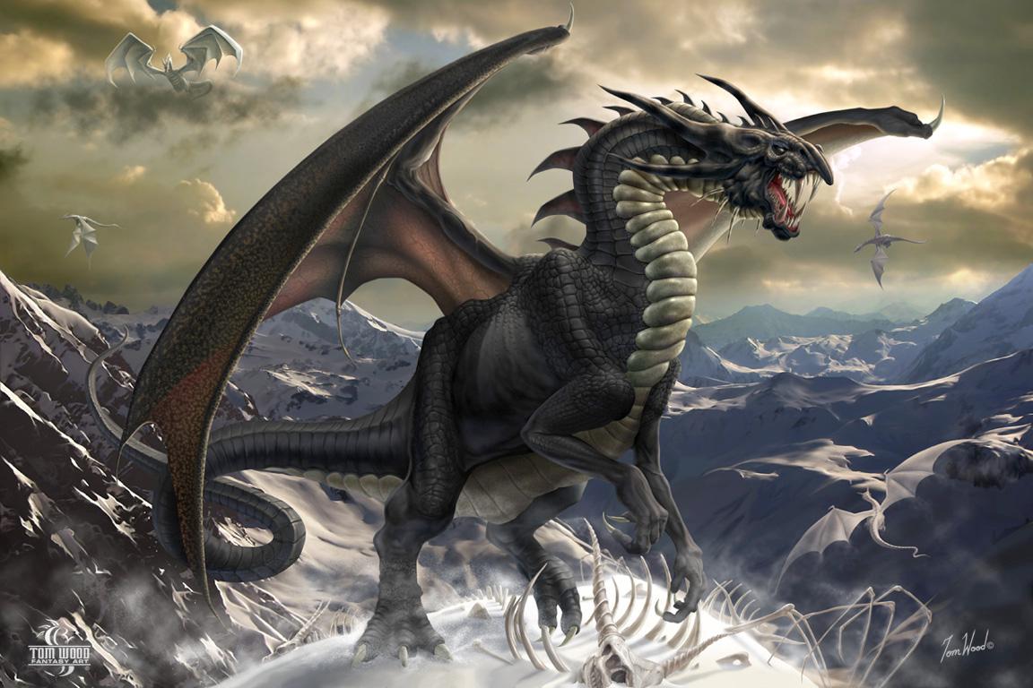 Black dragon - (#139844) - High Quality and Resolution Wallpapers ...