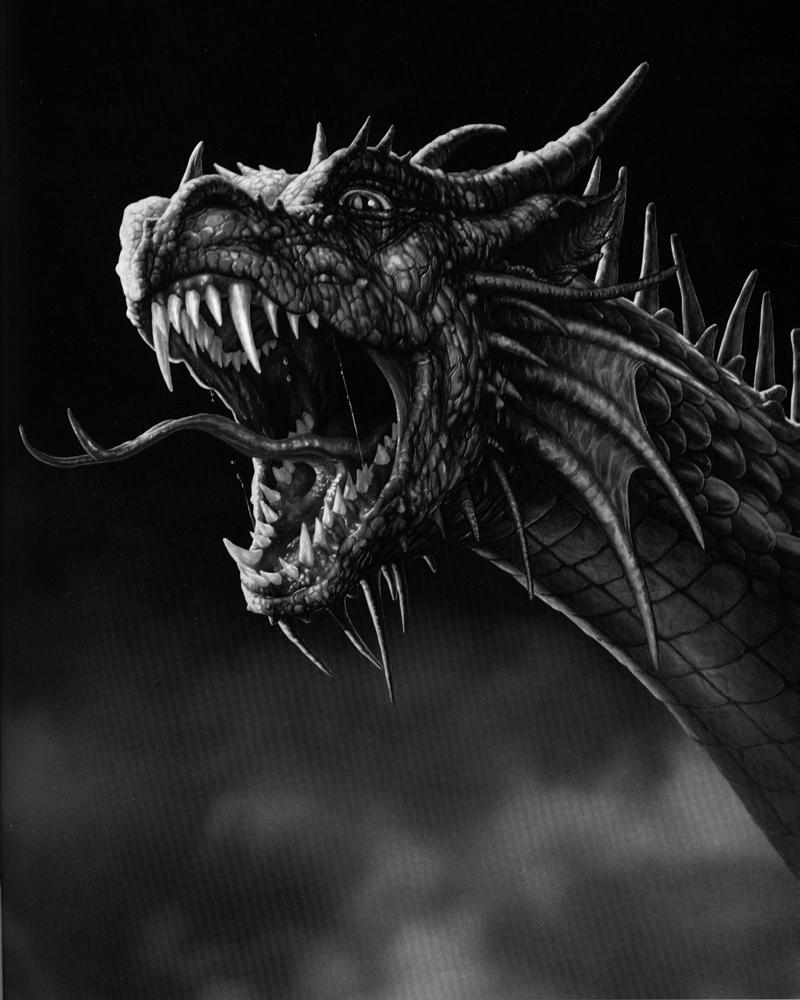 Black Dragon HD Images Wallpapers 10045 - Amazing Wallpaperz