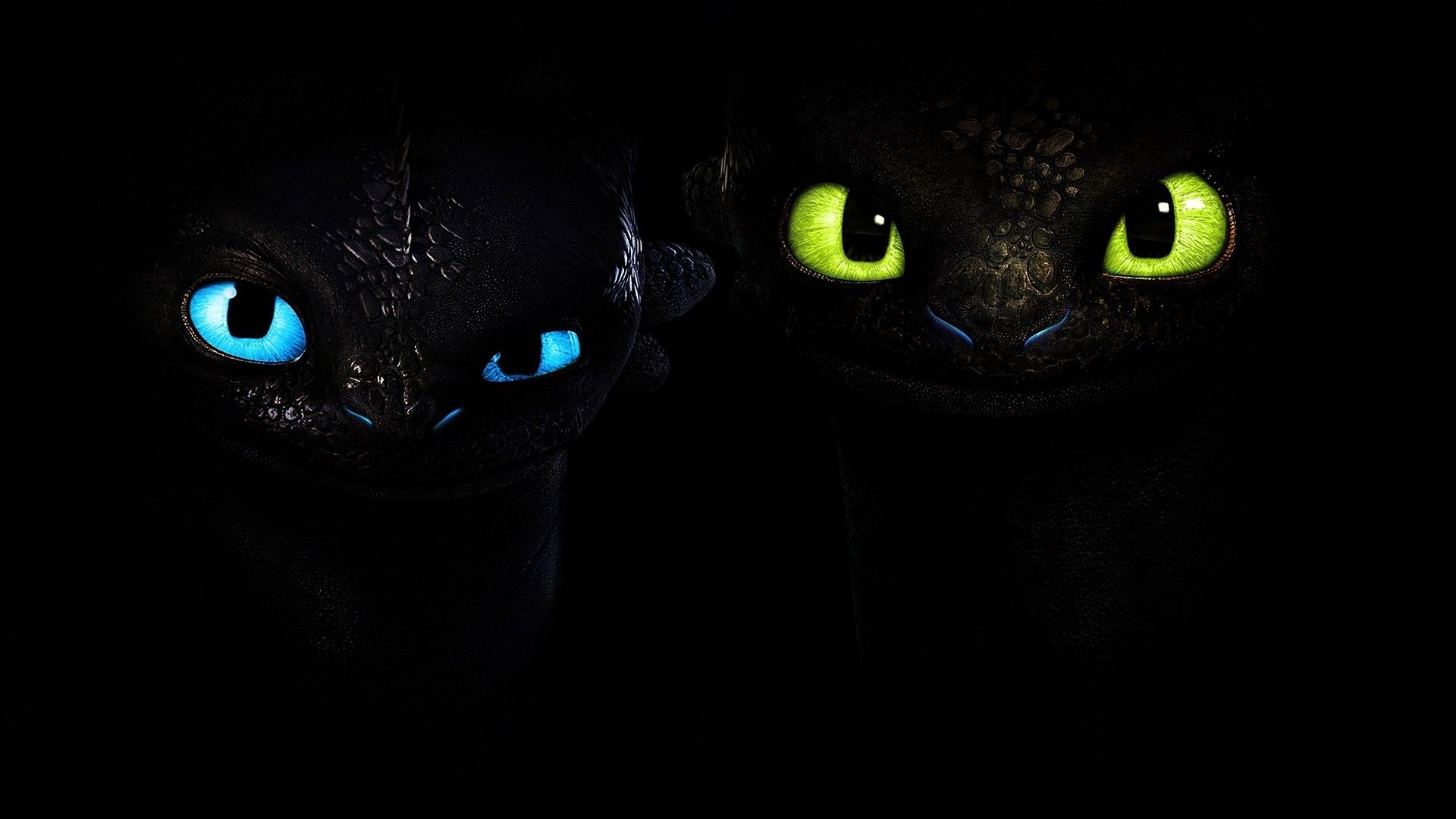 Two baby black dragon wallpapers and images - wallpapers, pictures ...