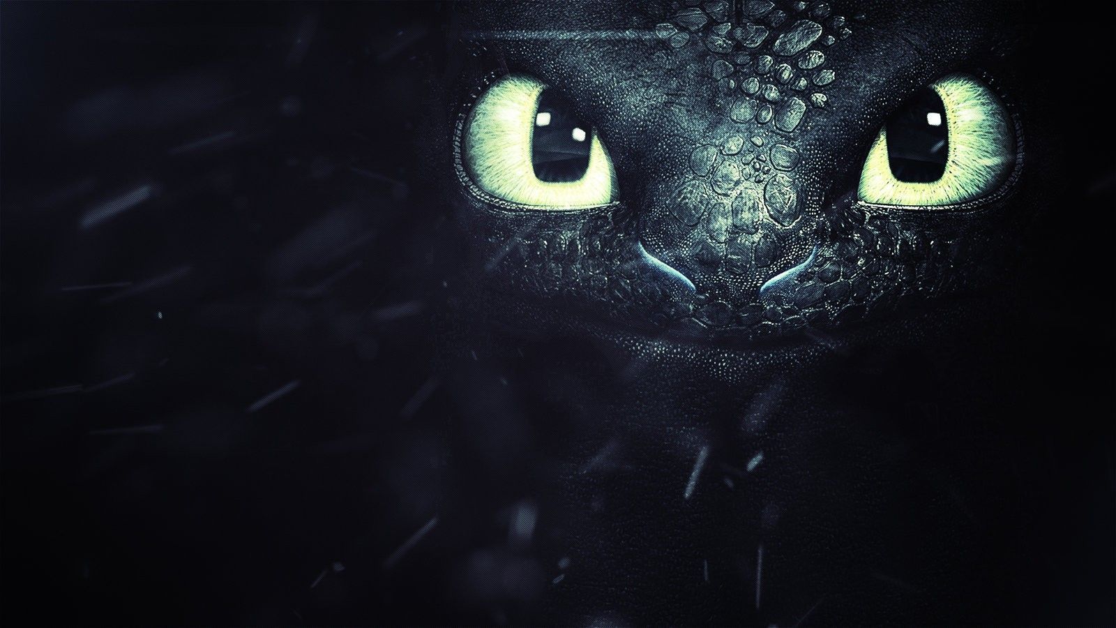 Little Black Dragon wallpapers and images - wallpapers, pictures ...