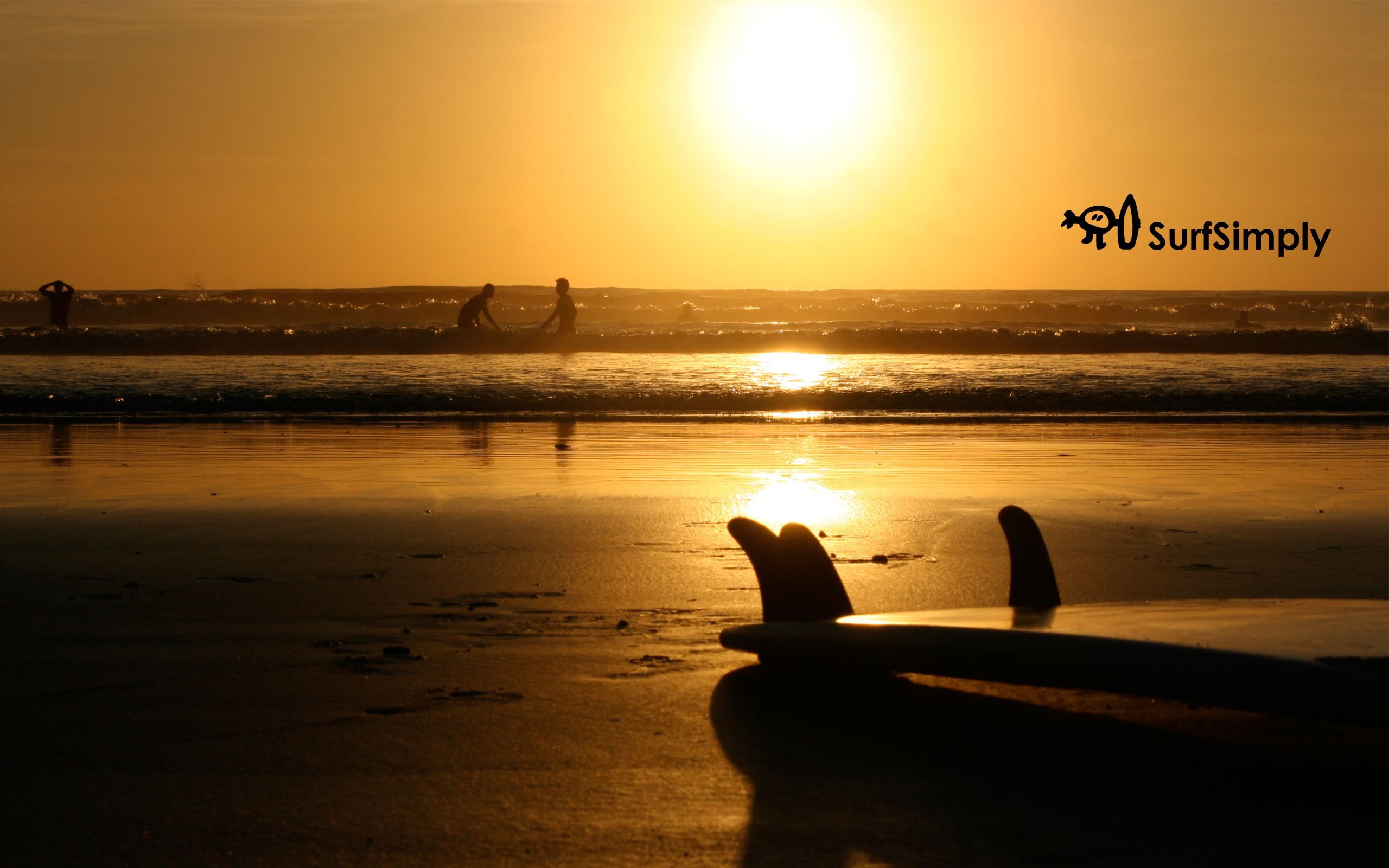 Magical Moments & Some Surf Simply Wallpapers | Surf Simply