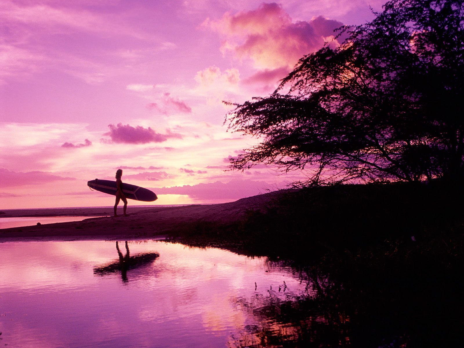 Infinity & Beyond | We Heart It | hawaii and surf