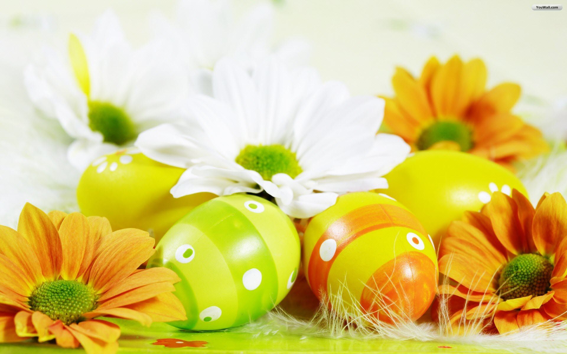 YouWall - Easter Eggs Wallpaper - wallpaper,wallpapers,free