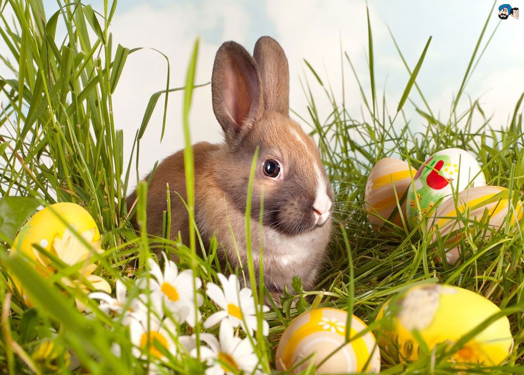 9 Best Free Easter Wallpapers