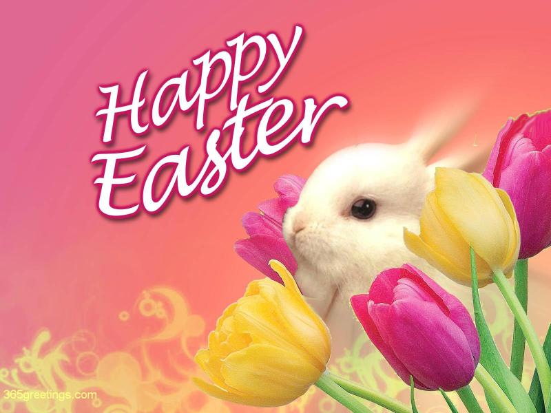Free Easter Bunny Wallpaper