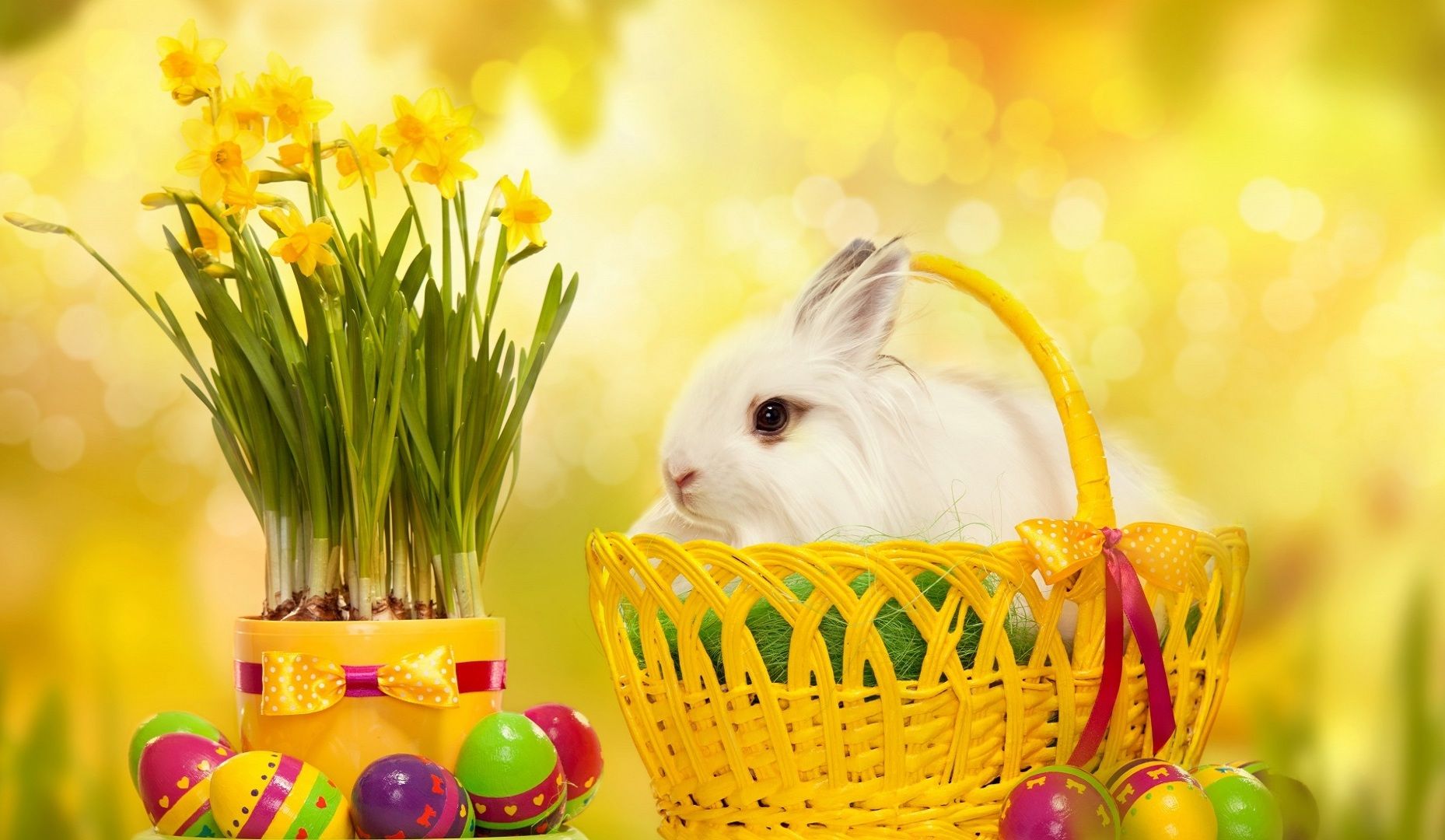Happy Easter Bunny wallpapers 2015