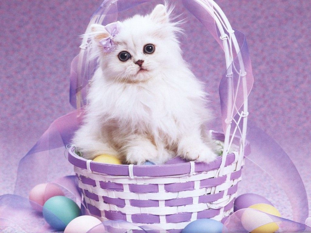 Free Easter Cat Wallpaper - Cutest Paw