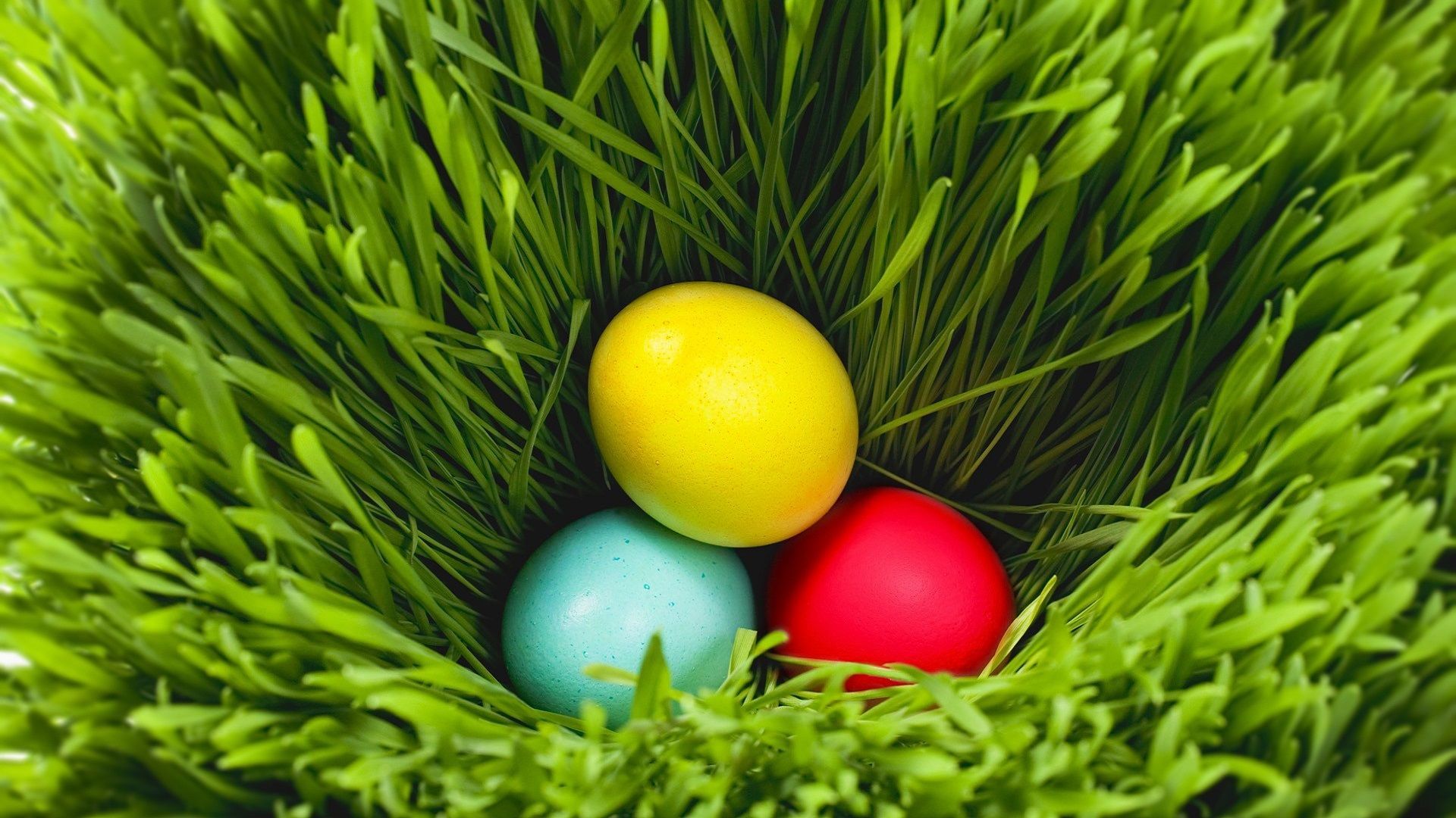 Easter Backgrounds 2016 download free | Wallpapers, Backgrounds ...