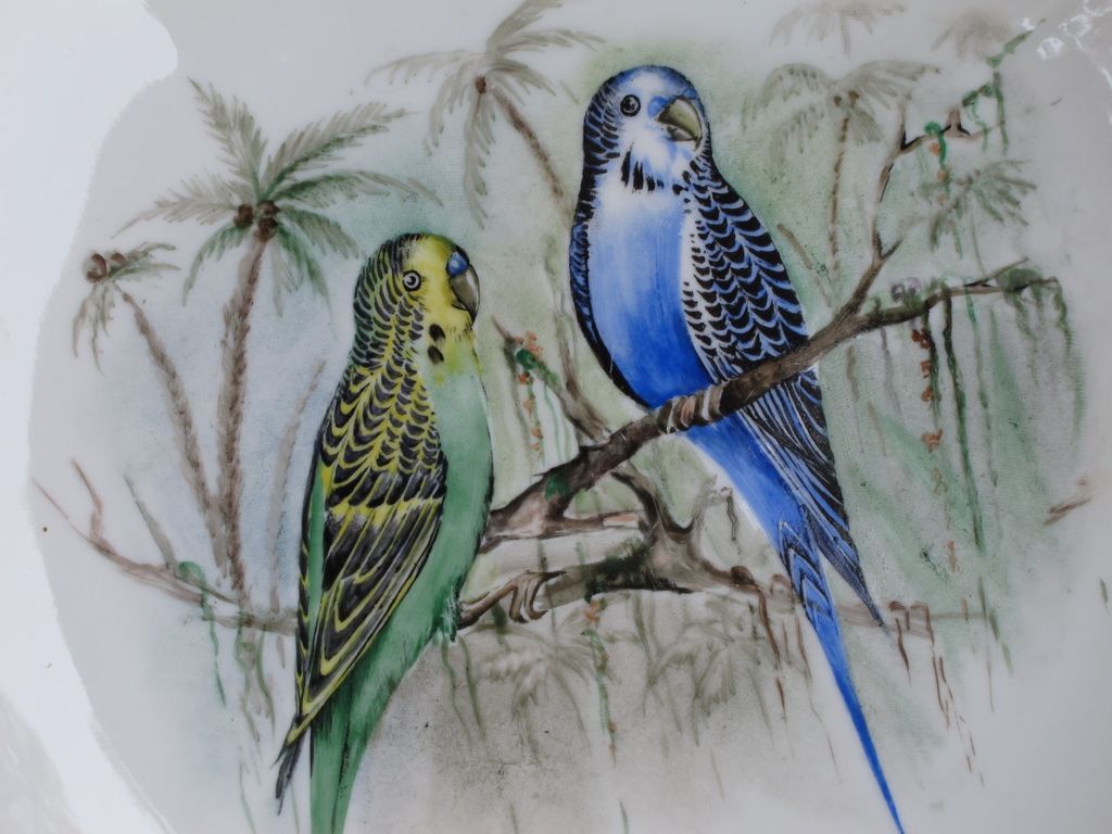 Vintage Hand Painted Parakeet Cake Plate from Germany from ...