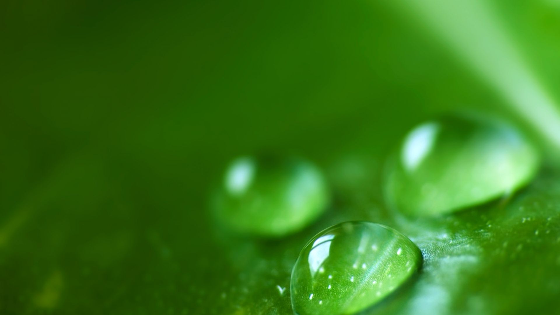 Super High Detail Water Droplets - HD Wallpapers