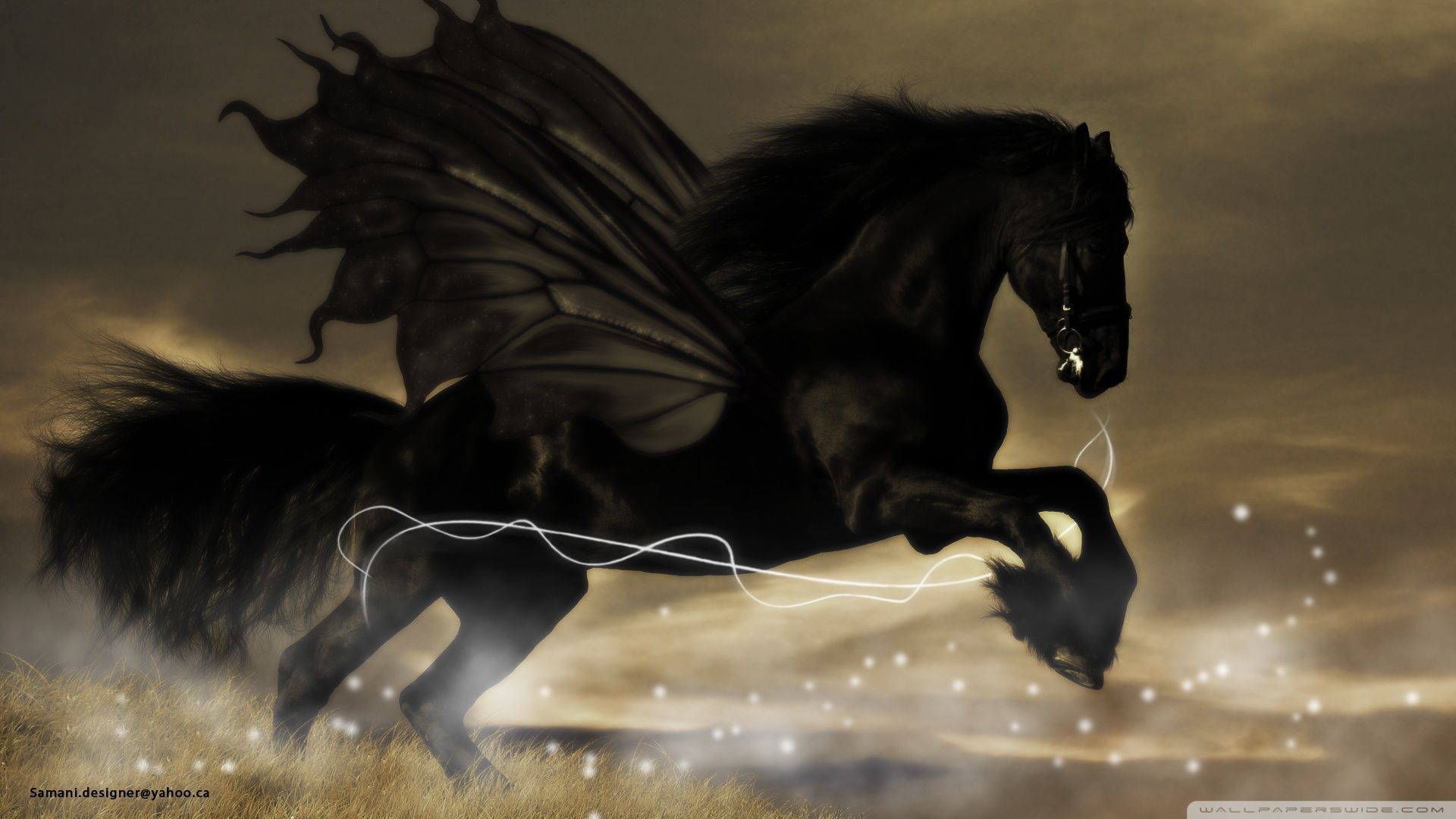 Black Horse HD Wallpapers | Hd Wallpapers