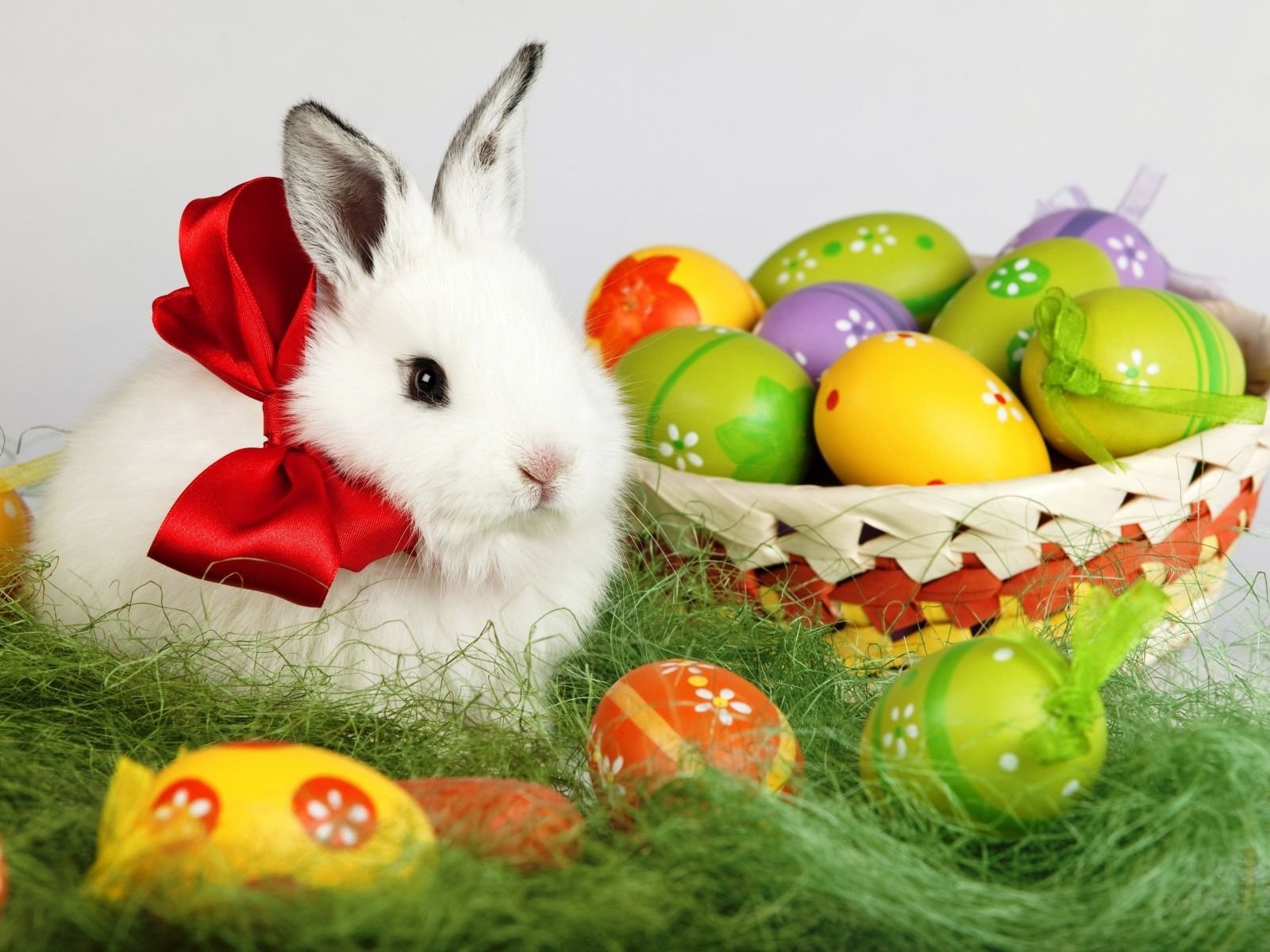 Easter-Bunny-Desktop-Wallpaper-Free.jpg