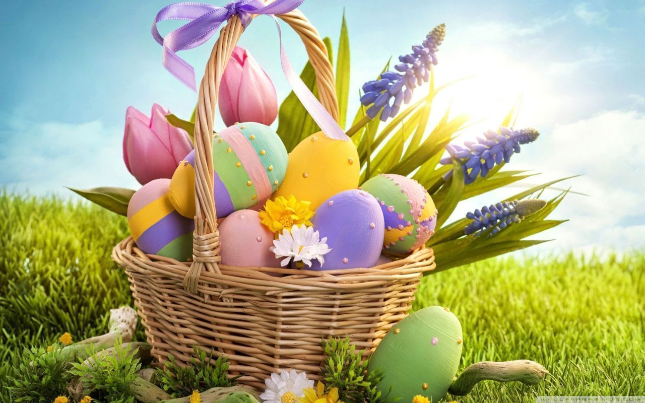 Easter Eggs HD desktop wallpaper : Widescreen : High Definition ...