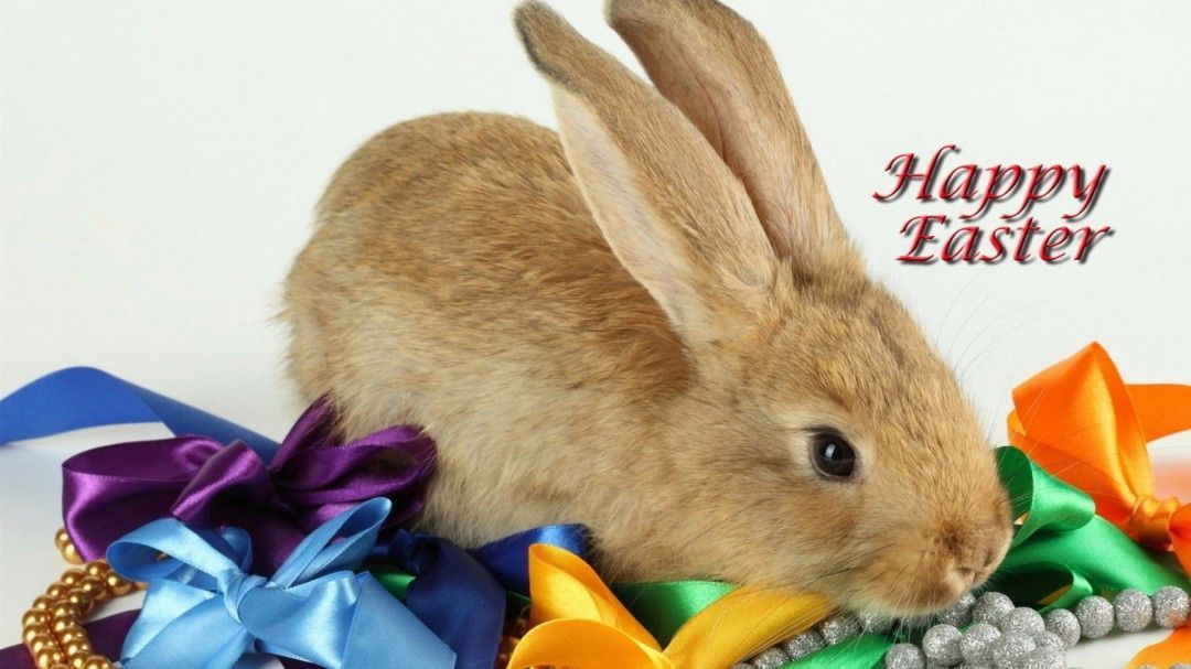 Download-Easter-Bunny-Desktop-Wallpaper.jpg