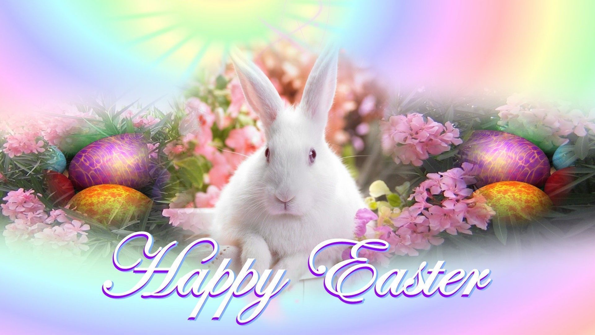 Happy Easter Bunny Wallpaper Wallpaper Download - PowerballForLife