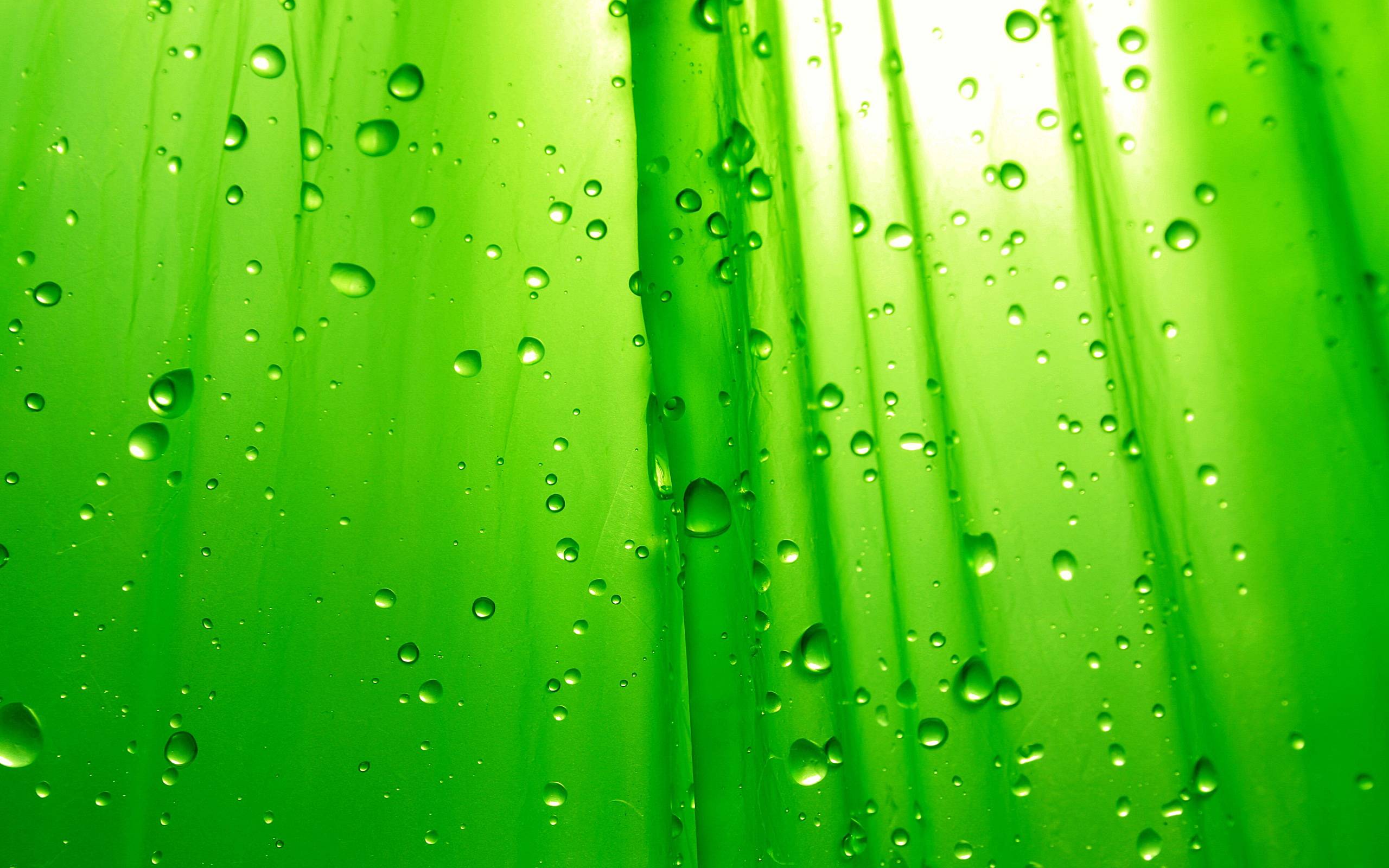 Green HD Wallpapers