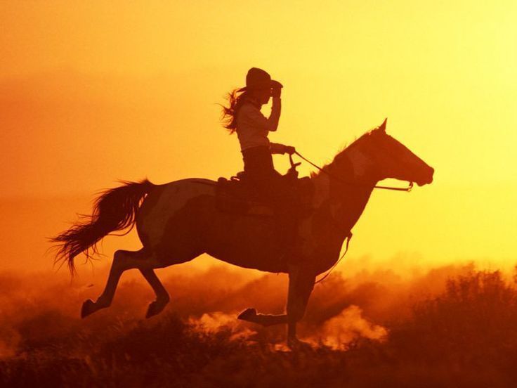 Riding Horse Wallpapers