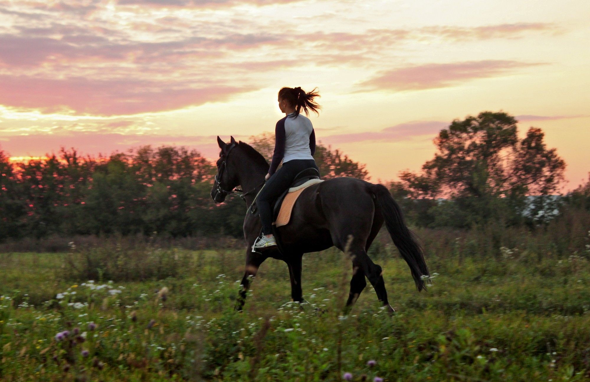 Horse riding, sunset wallpapers and images - wallpapers, pictures ...