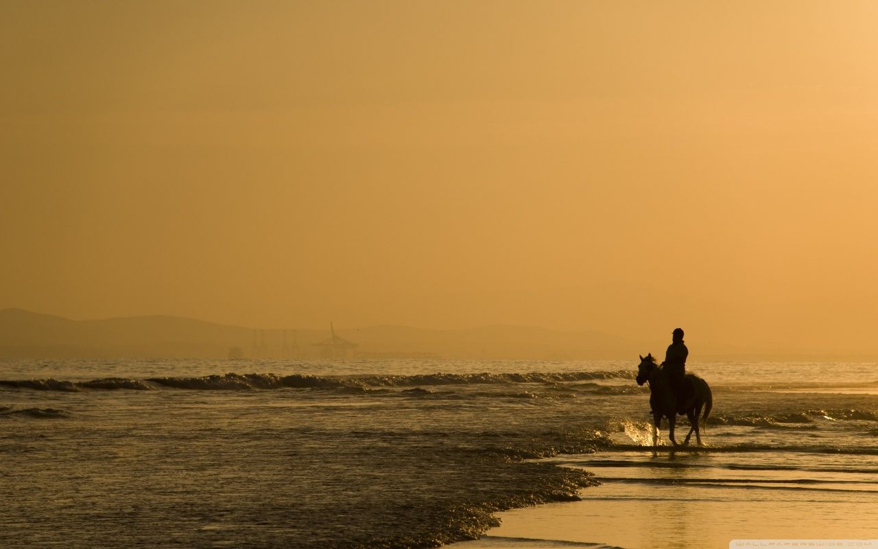 Horse Riding On The Beach HD desktop wallpaper : High Definition ...