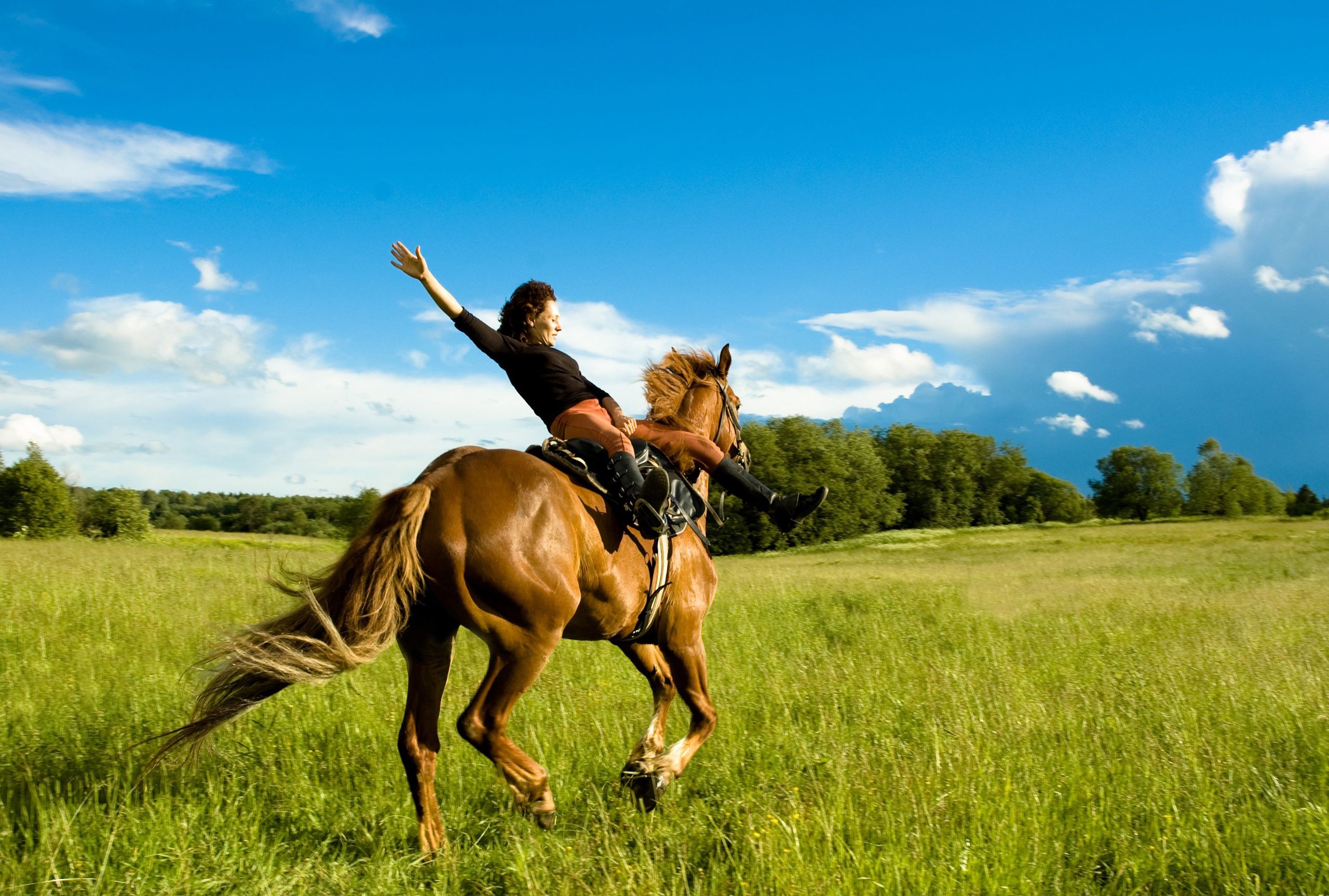Top Riding A Horse Wallpapers Images for Pinterest