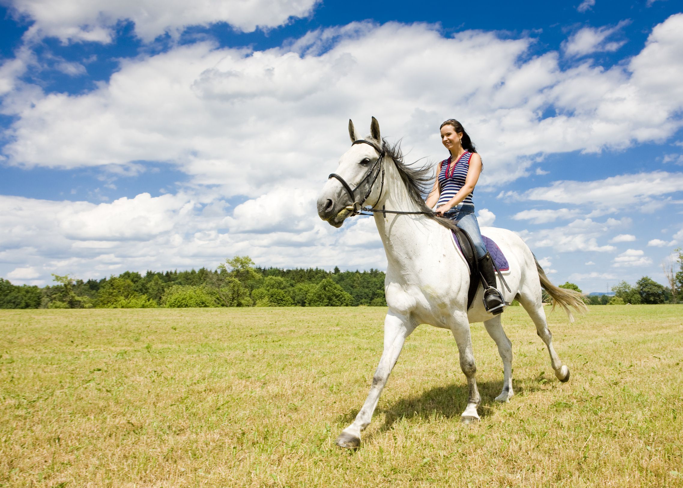 Horseback riding wallpapers and images - wallpapers, pictures, photos