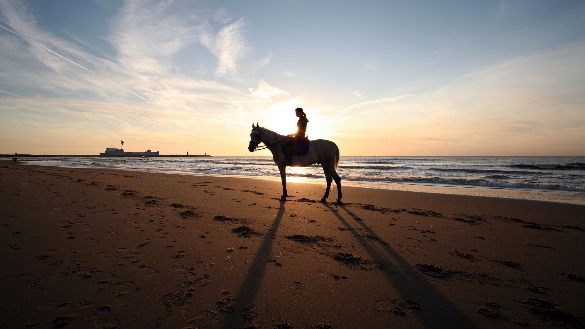 9 Horse Riding HD Wallpapers | Backgrounds - Wallpaper Abyss