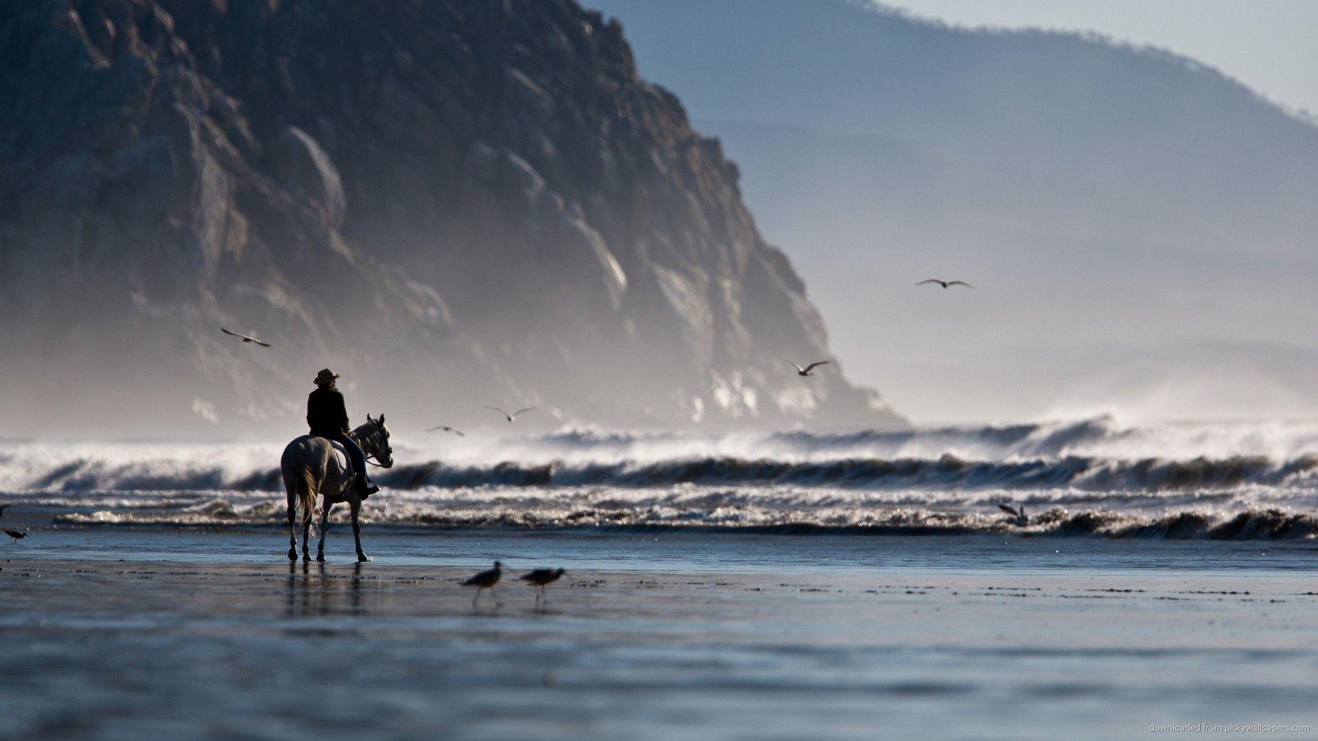 Riding The Horse On The Shore Wallpaper For Samsung Galaxy Tab