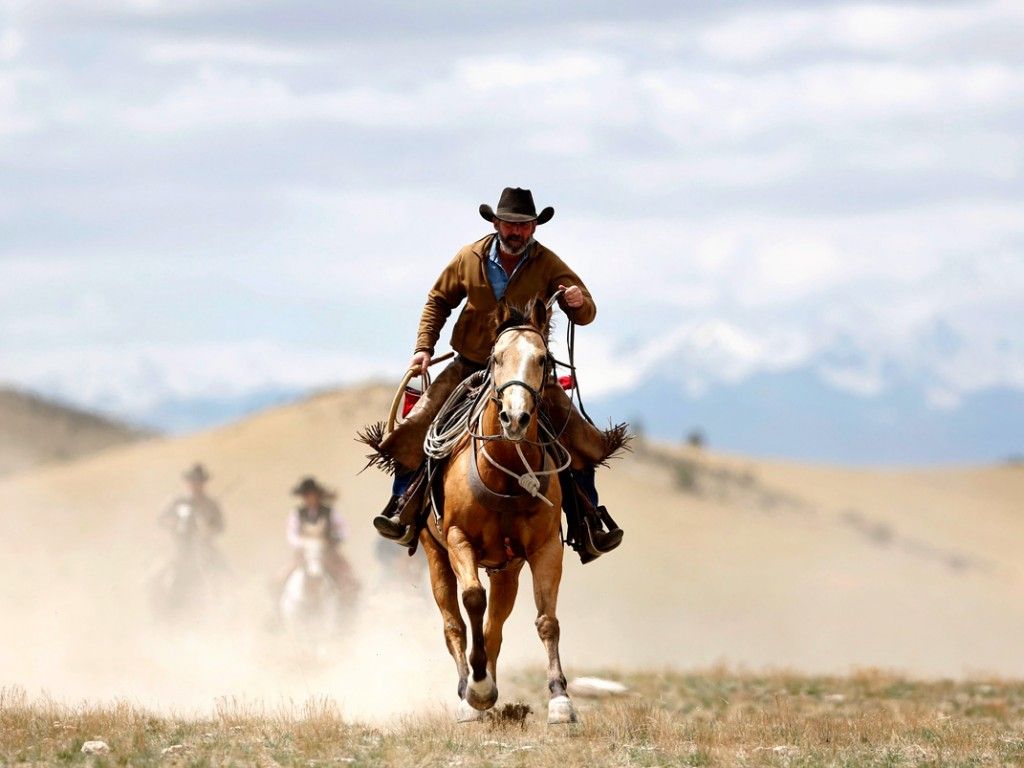 Men Cowboy Horse Riding | Graphics