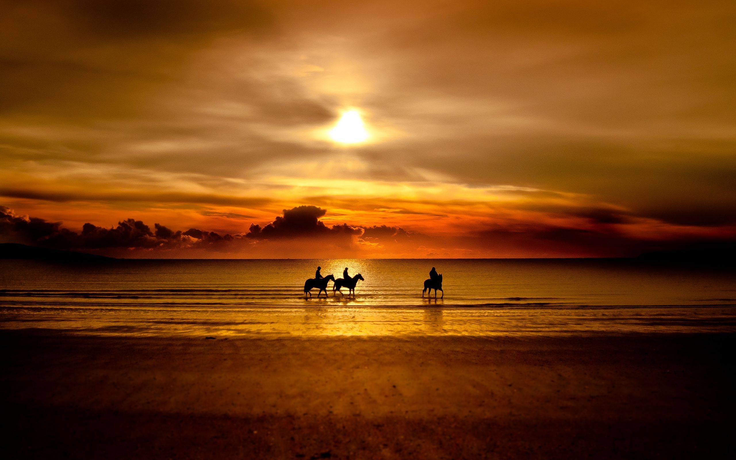 Top Horse Sunset Wallpaper Hd Images for Pinterest