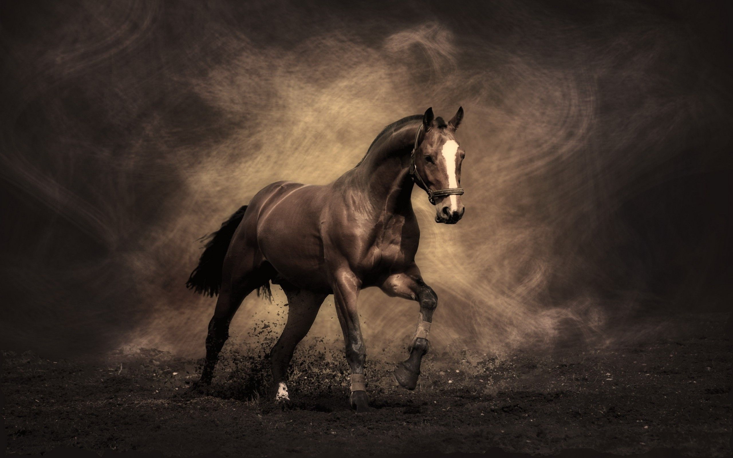 Equestrian Wallpapers