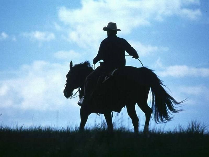 cowboy-riding-horse.jpg