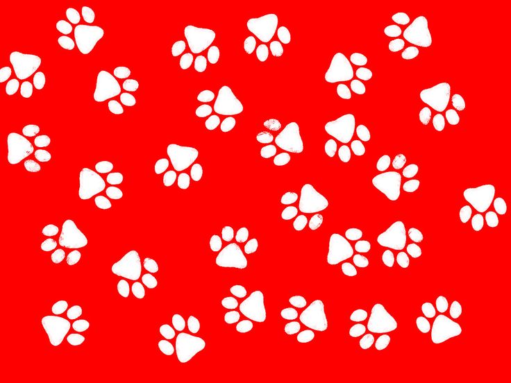 Colourful red and white paw print background for your desktop